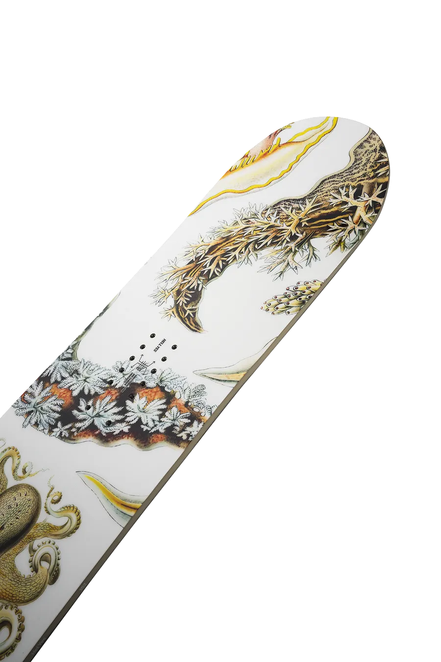 Women's Hell Yes Snowboard - Image 5